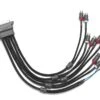 VX-INHARNESS-5/6CH-RP -JL Audio VX INHARNESS 5 6CH RP